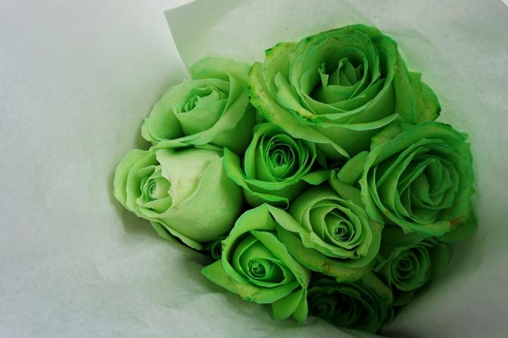 Зеленые розы символизируют финансовый успех, стабильность, благополучие