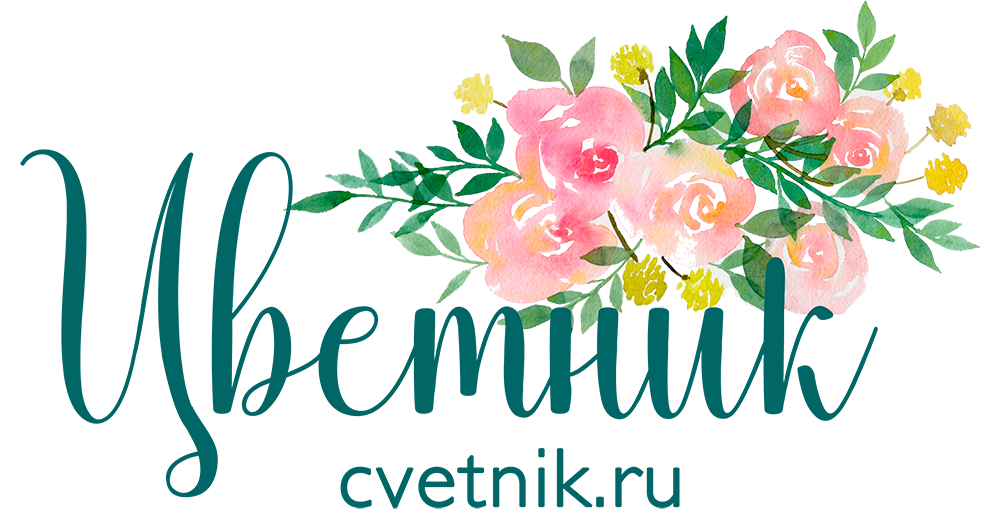 Логотип